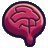 Zenquiz App logo