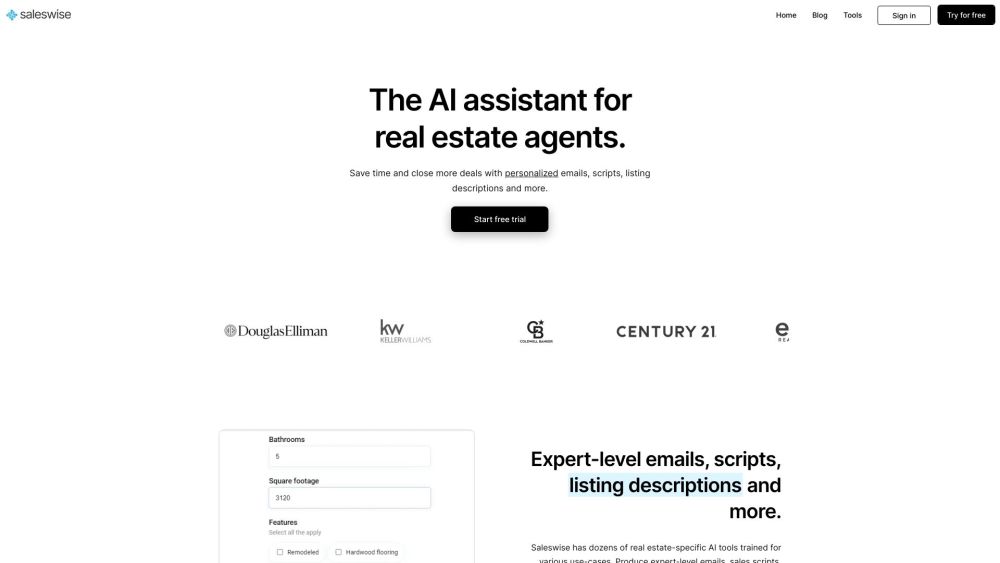 Saleswise Ai website screenshot