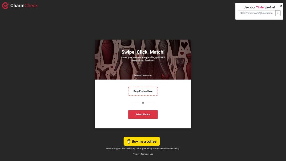 Charm Check website screenshot