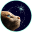 Catting logo