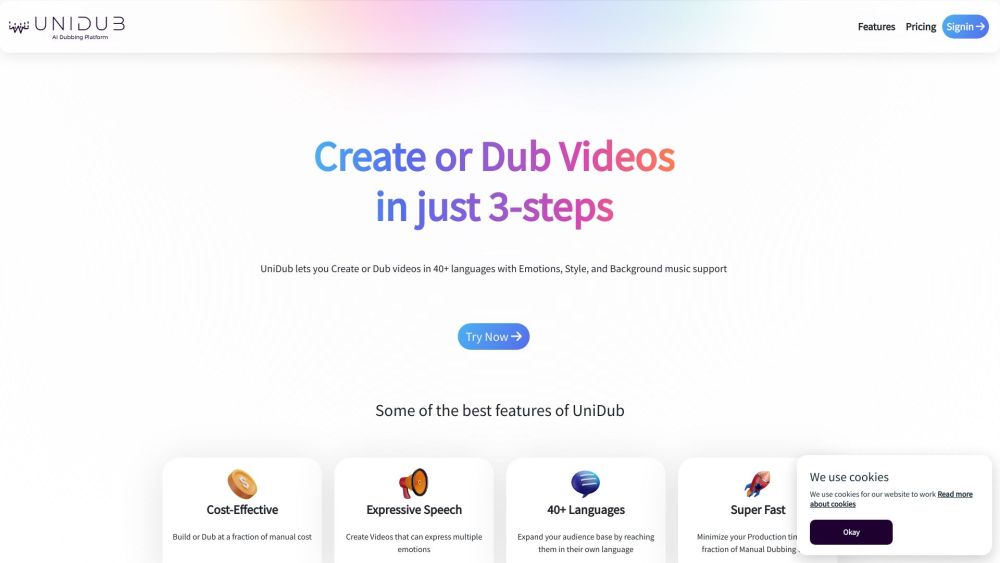 Unidub Co website screenshot
