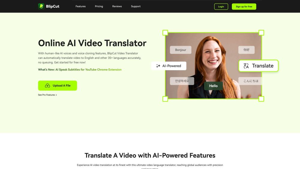 Blipcut Ai Video Translator website screenshot