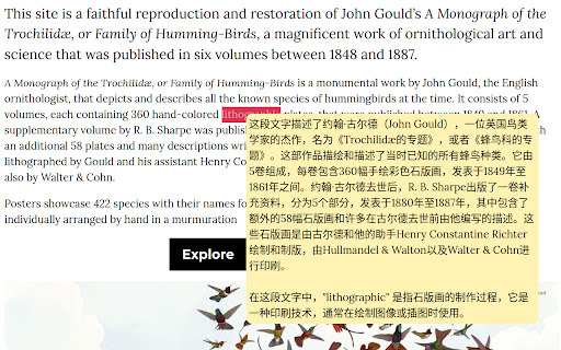 Fanyi Contextual Translation website screenshot