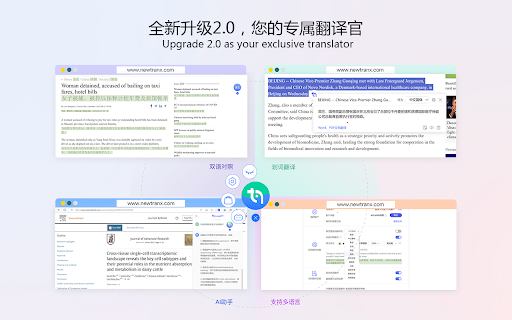 智译网页翻译 website screenshot