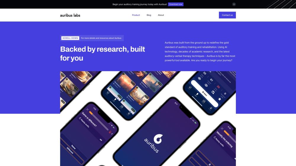 Auribus website screenshot