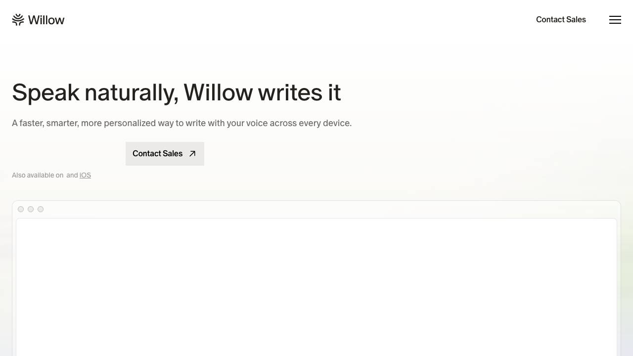 Willow Voice website screenshot