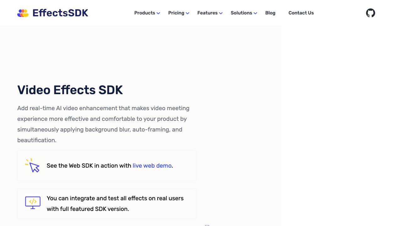 Effects SDK website screenshot