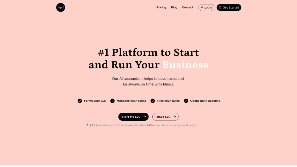 Jupid Ai Accountant website screenshot