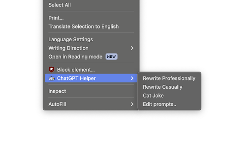 Chrome Chatgpt Helper website screenshot