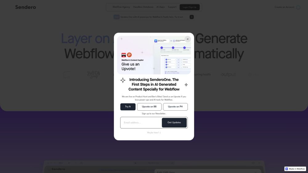 S website screenshot