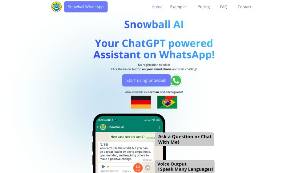 Snowball AI website screenshot