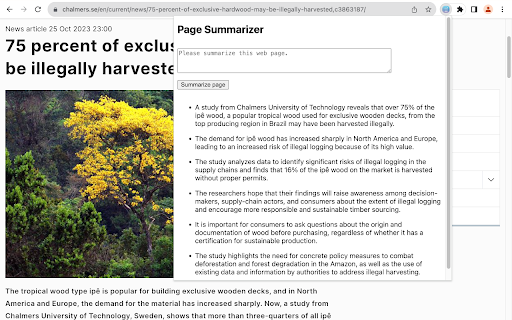 Page Summarizer website screenshot