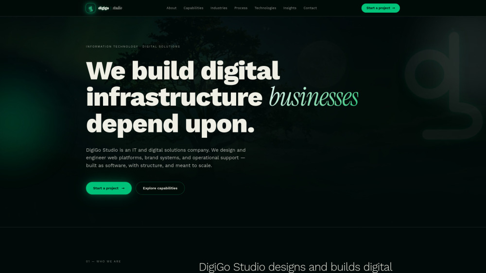 Digigo Studio website screenshot