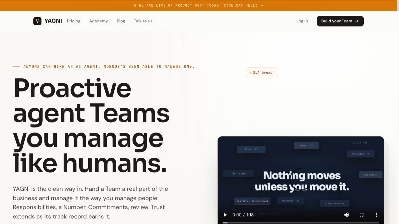 YAGNI website screenshot