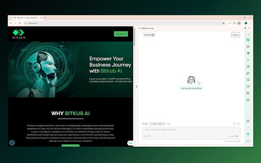 Bitkub Ai Chat website screenshot