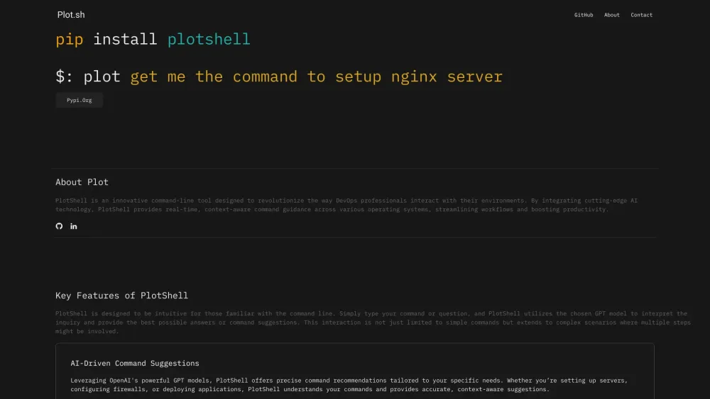 P website screenshot