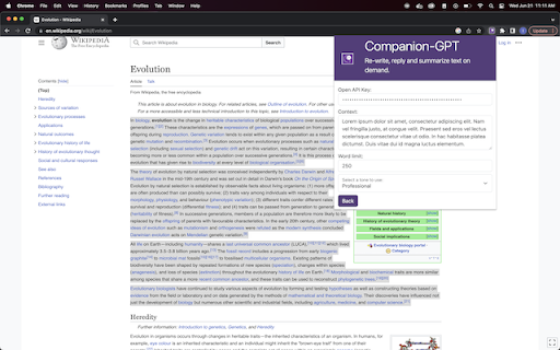 Companiongpt website screenshot