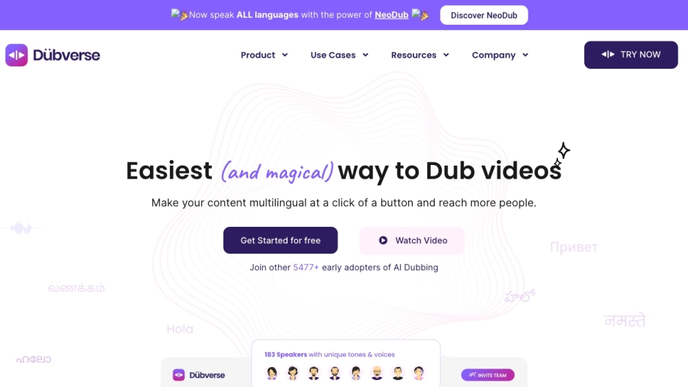 Dubverse website screenshot