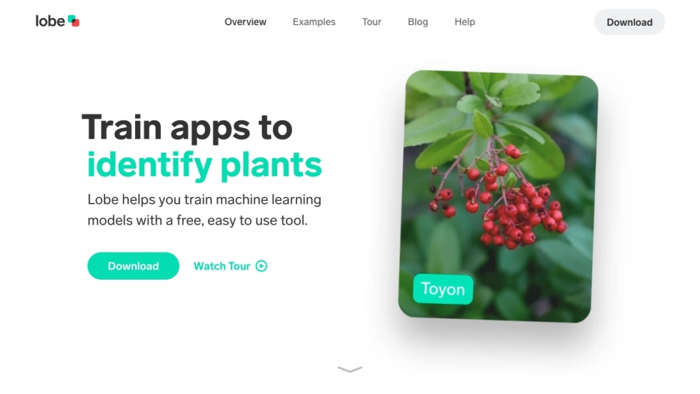 Lobe website screenshot