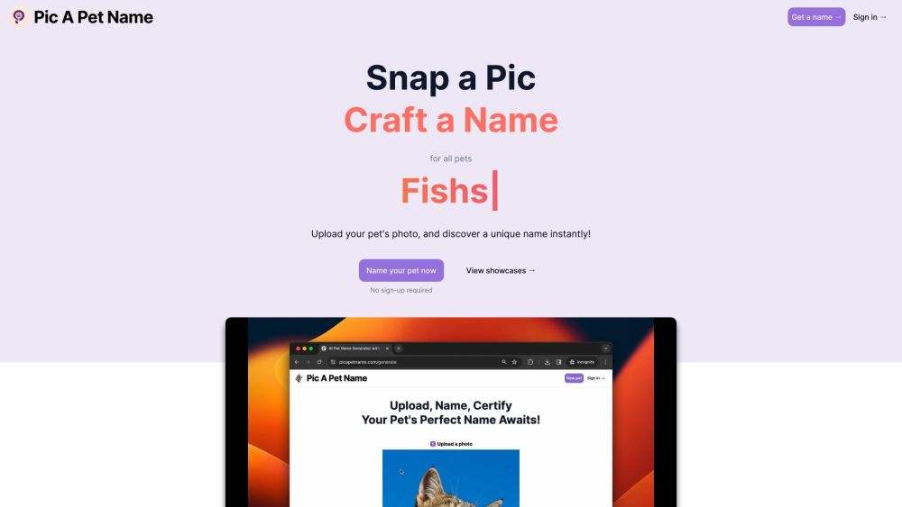 PicAPetName website screenshot