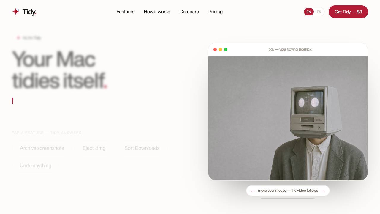 Tidy website screenshot