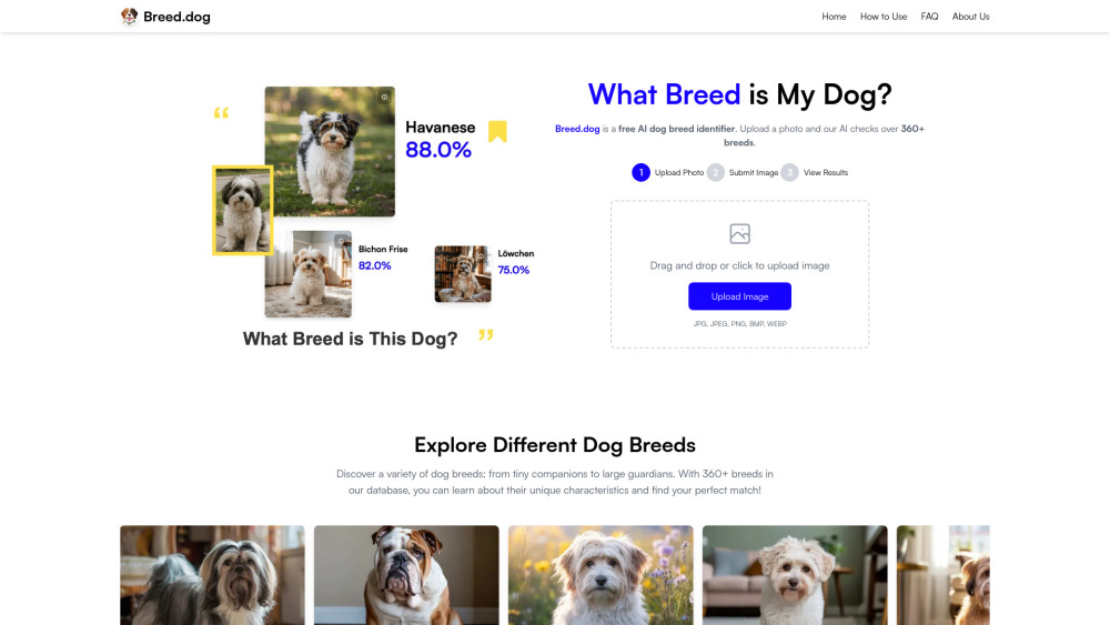 Breed Dog Ai Dog Breed Identifier website screenshot