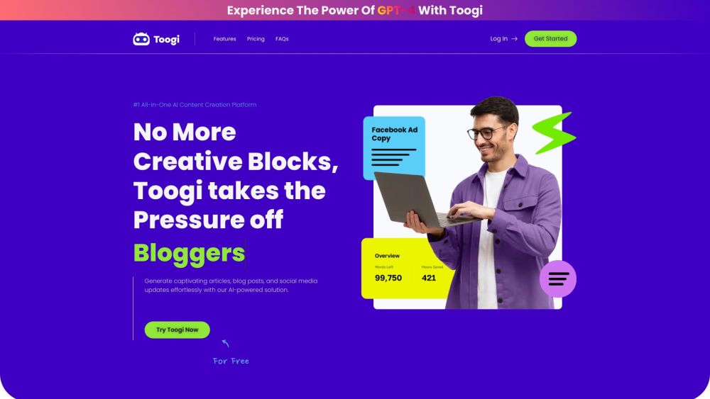 Toogi website screenshot