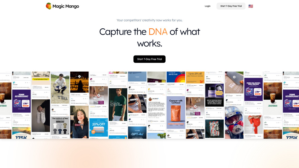 Magic Mango website screenshot
