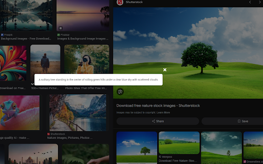 Images Alt Text Generator website screenshot