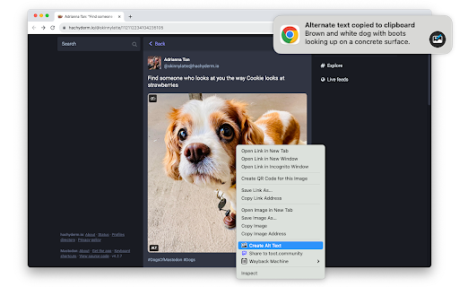 Alt Text Creator With Gpt 4 Vision website screenshot