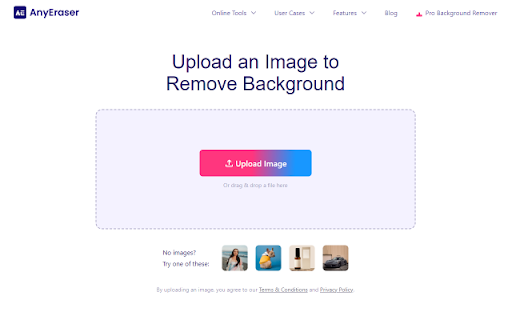 AnyEraser website screenshot