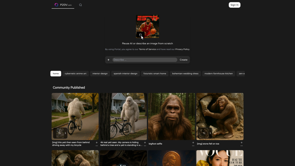 P20V website screenshot
