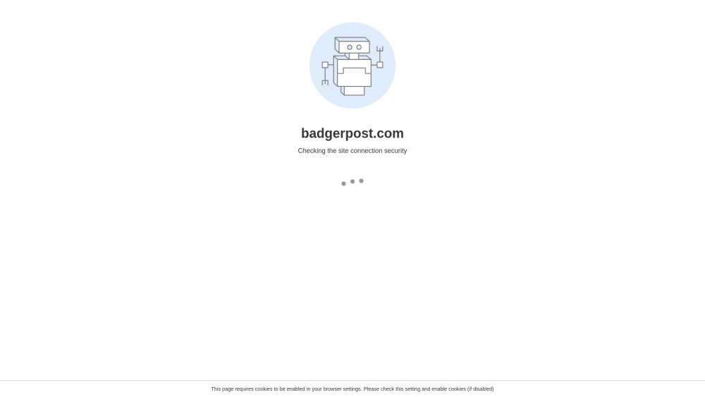Badger Post website screenshot