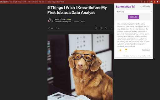 Easy Summaries website screenshot