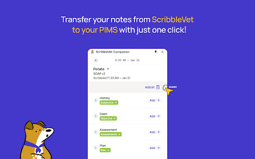 ScribbleVet website screenshot