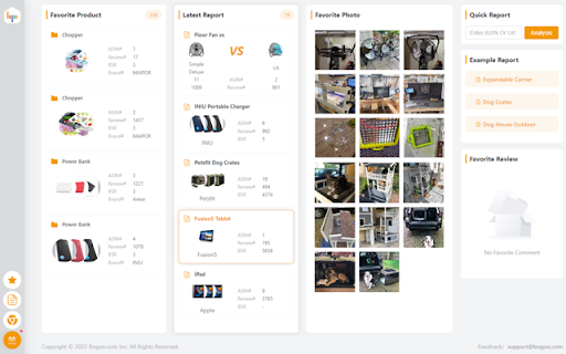 Bogoo Reviews Analysis Tool website screenshot