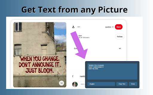 Pic To Text website screenshot