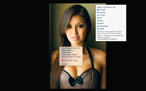 Find Similar Image website screenshot