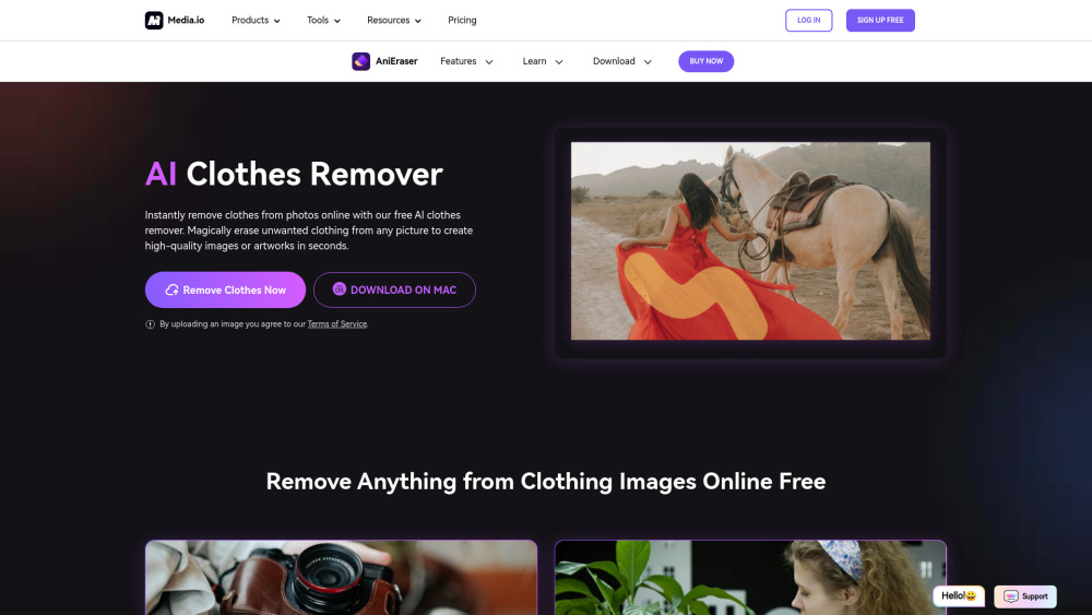 AniEraser website screenshot