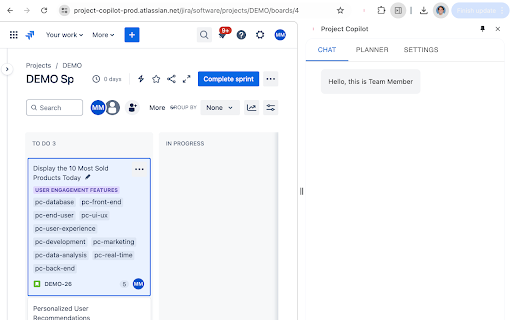 Project Copilot Team Member website screenshot