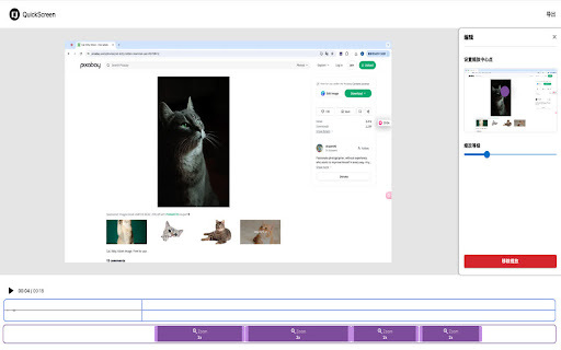 Quick Screen Screen Video Automatic Zoom website screenshot