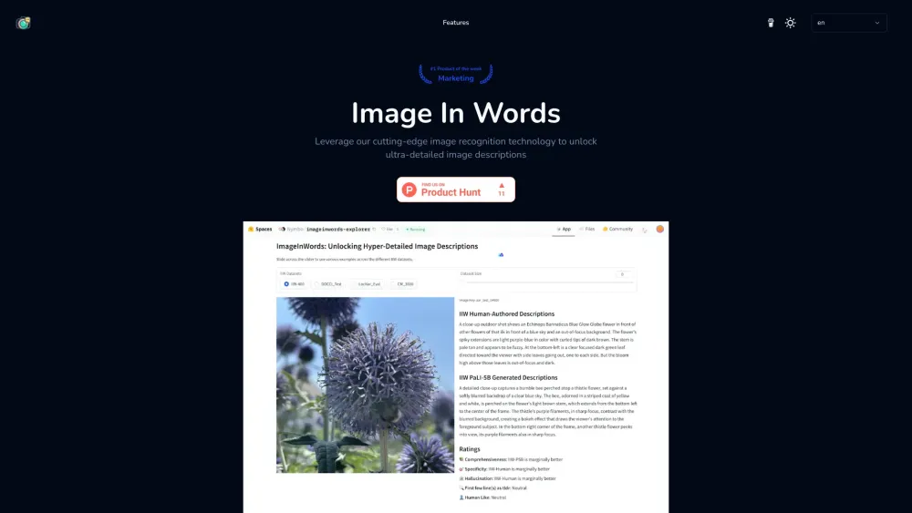 Image In Words website screenshot